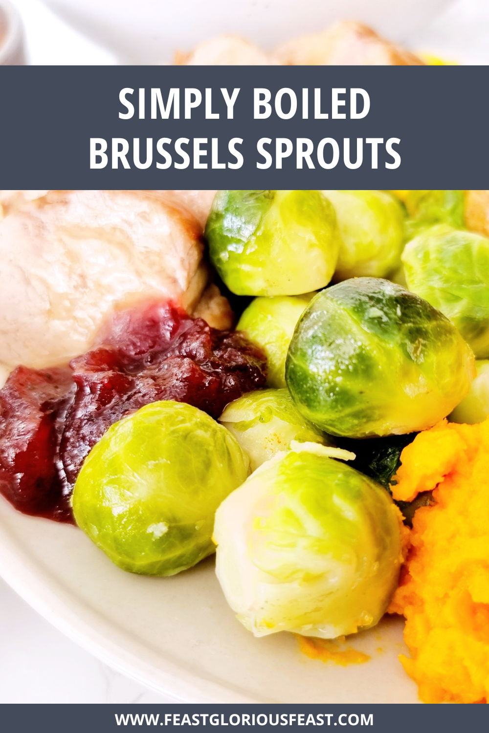 Simply Boiled Brussels Sprouts Feast Glorious Feast